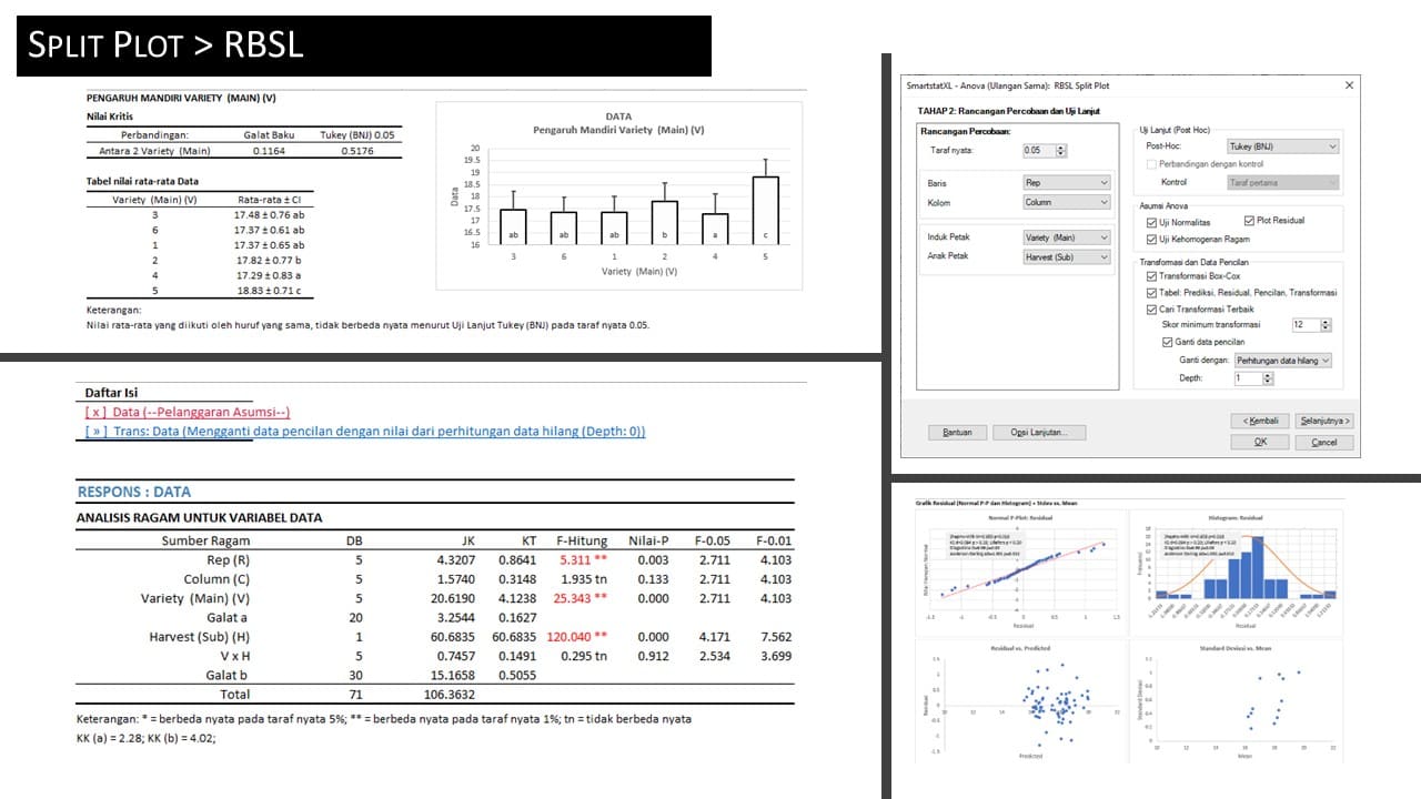 Output Anova Split Plot RBSL