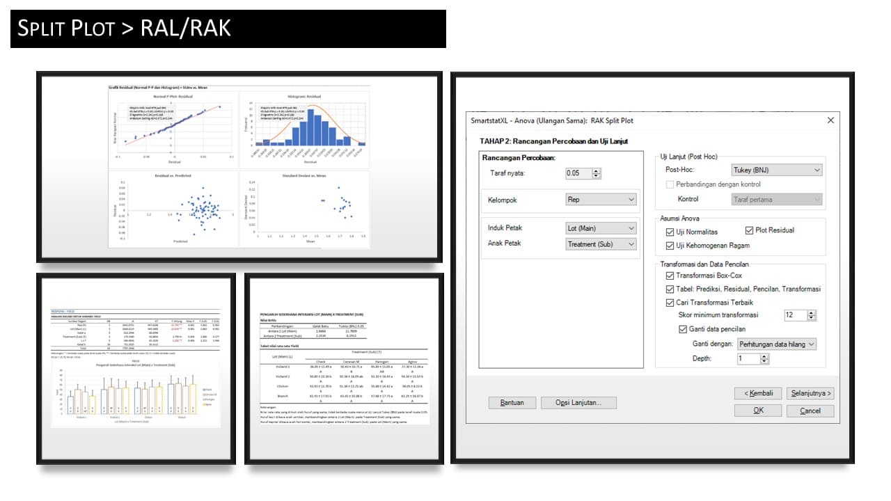 Output Anova Split Plot